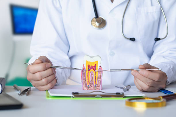 Best Pediatric Emergency Dentist in Hauser, ID